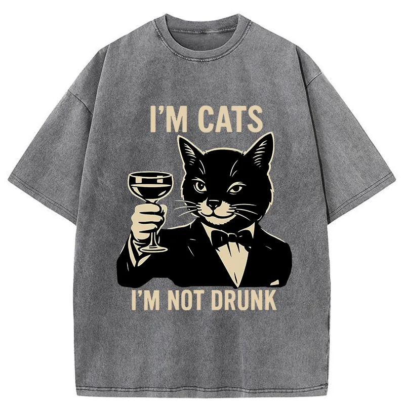 Tokyo-Tiger Cat Cheers Meme Funny Washed T-Shirt