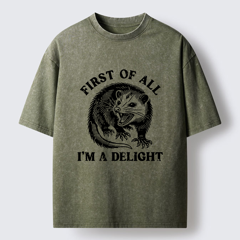 Tokyo-Tiger Delight Possum Meme Washed T-Shirt