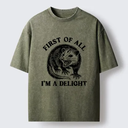 Tokyo-Tiger Delight Possum Meme Washed T-Shirt
