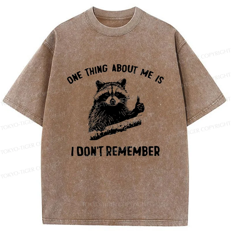 Tokyo-Tiger Amnesiac Raccoon Washed T-Shirt