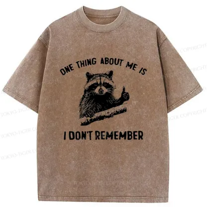 Tokyo-Tiger Amnesiac Raccoon Washed T-Shirt