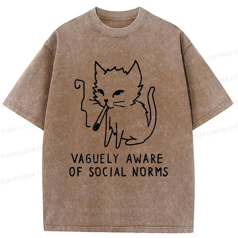 Tokyo-Tiger Uncontrolled Cat Washed T-Shirt Sale