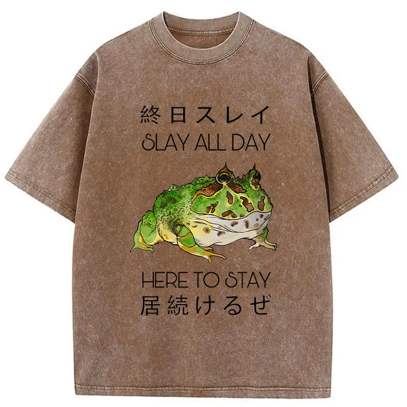 Tokyo-Tiger Slay All Day Washed T-Shirt