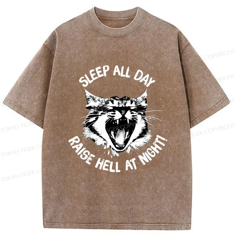 Tokyo-Tiger Cat Wreaking Havoc At Night Washed T-Shirt