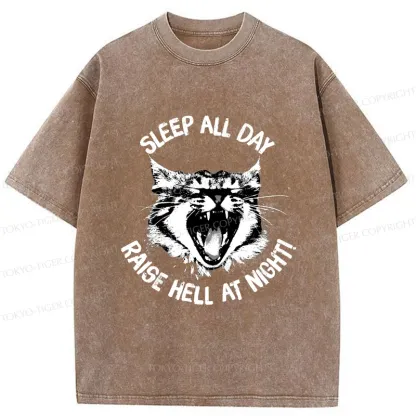 Tokyo-Tiger Cat Wreaking Havoc At Night Washed T-Shirt