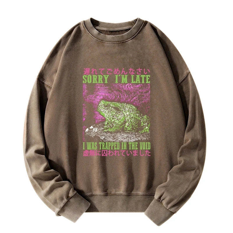 Tokyo-Tiger A Frog In Distress Japanese Washed Sweatshirt