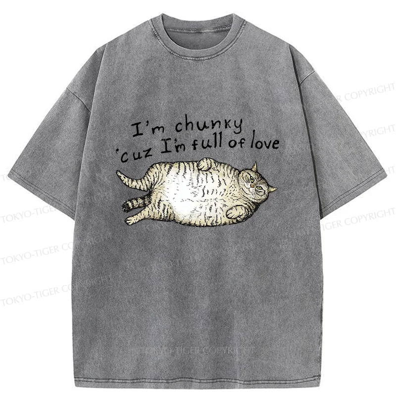 Tokyo-Tiger Fat Cat Funny Washed T-Shirt