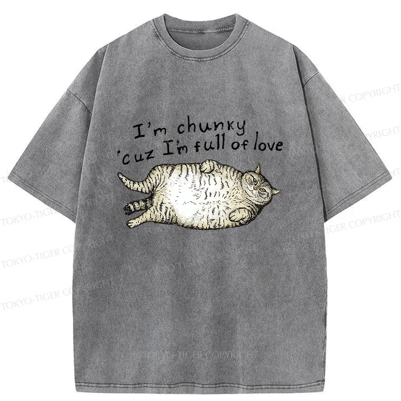 Tokyo-Tiger Fat Cat Funny Washed T-Shirt