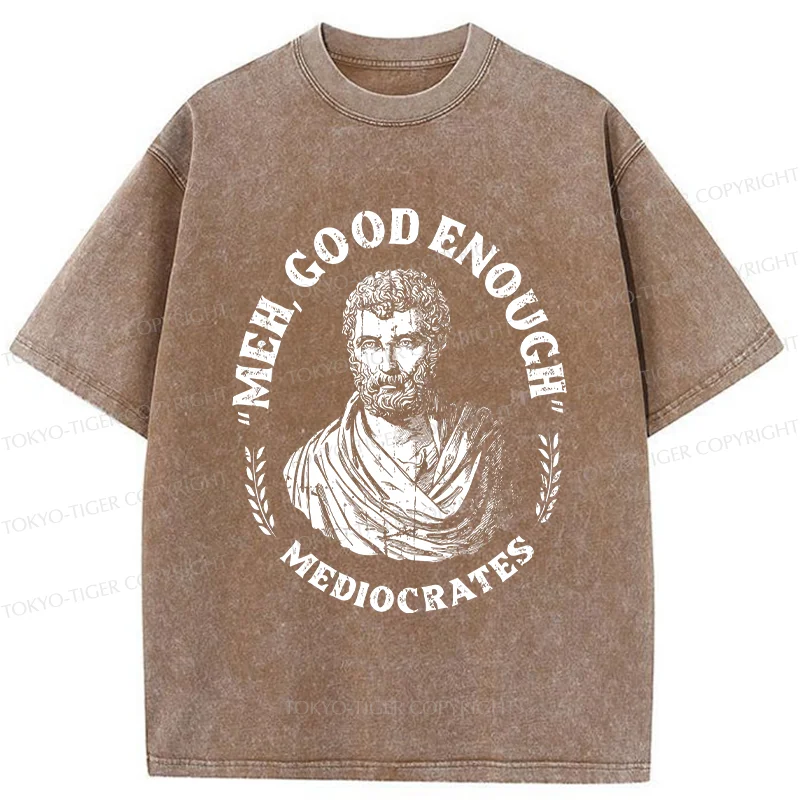 Tokyo-Tiger Socrates Funny Saying Washed T-Shirt