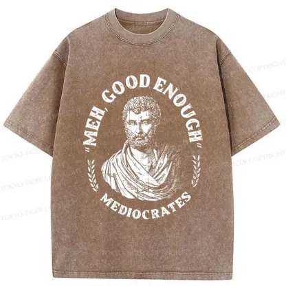 Tokyo-Tiger Socrates Funny Saying Washed T-Shirt
