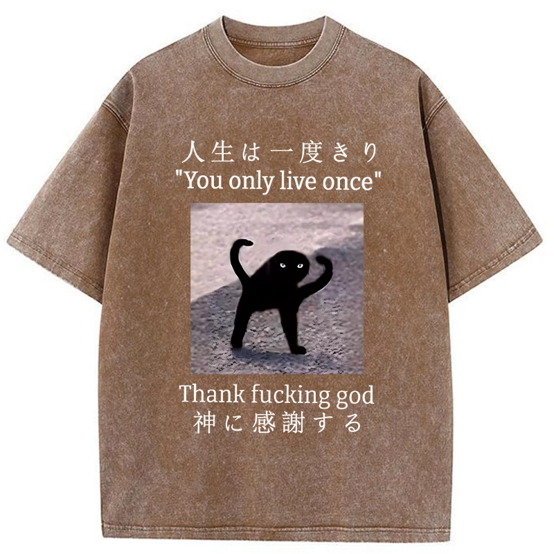 Tokyo-Tiger Funny Mysterious Cat Washed T-Shirt