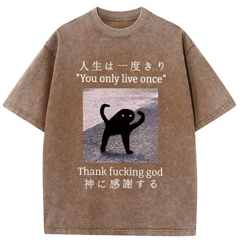 Tokyo-Tiger Funny Mysterious Cat Washed T-Shirt