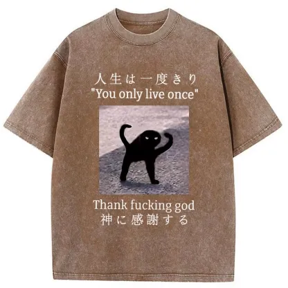 Tokyo-Tiger Funny Mysterious Cat Washed T-Shirt
