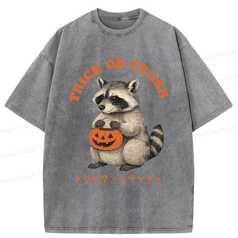 Tokyo-Tiger Halloween Raccoon Washed T-Shirt