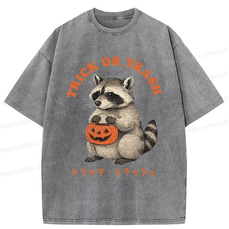Tokyo-Tiger Halloween Raccoon Washed T-Shirt