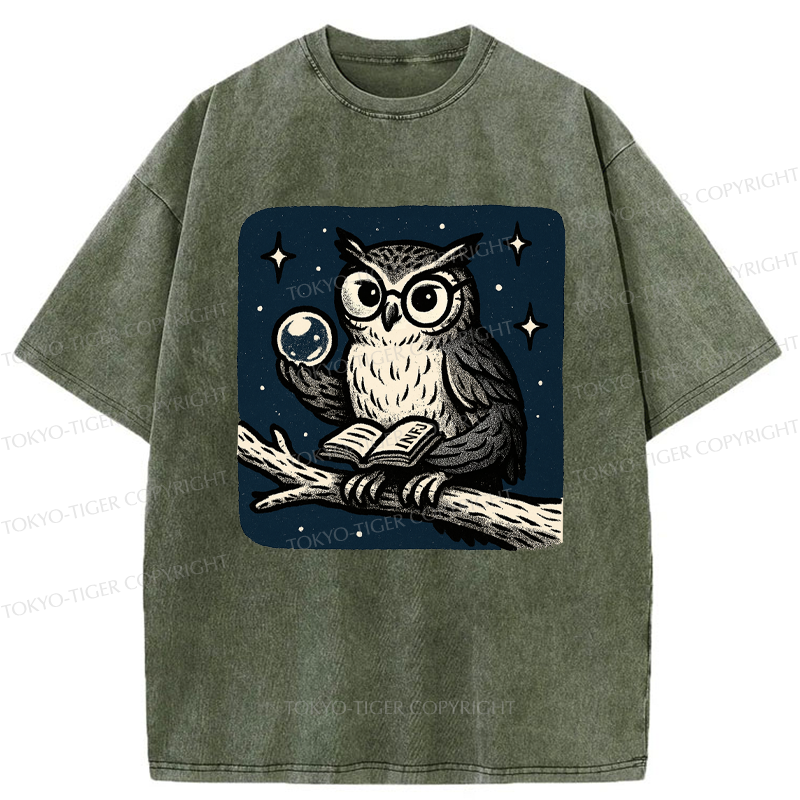 Tokyo-Tiger INFJ Owl Washed T-Shirt