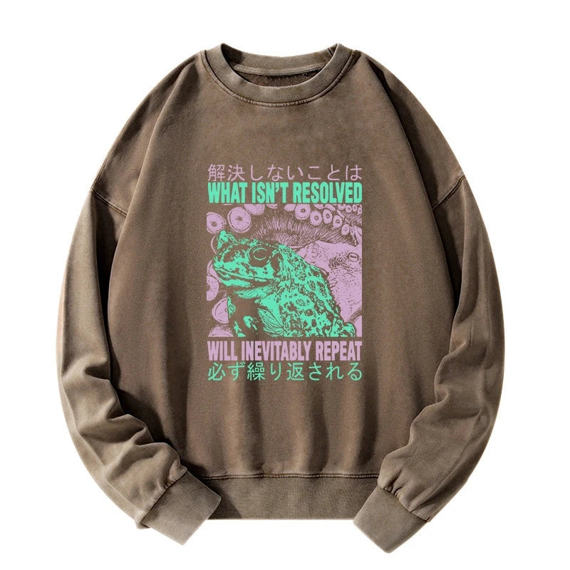 Tokyo-Tiger What Ist Resolved Forg Washed Sweatshirt