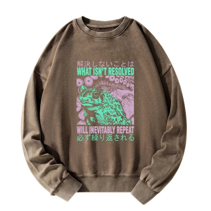 Tokyo-Tiger What Ist Resolved Forg Washed Sweatshirt