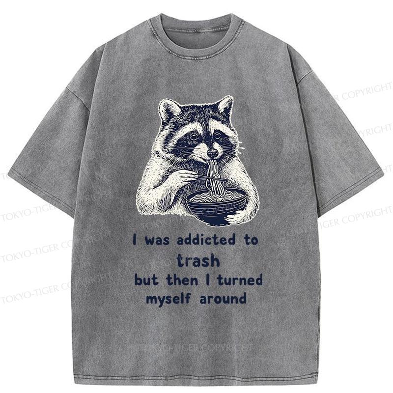 Tokyo-Tiger Raccoon Eating Ramen Japanese Washed T-Shirt