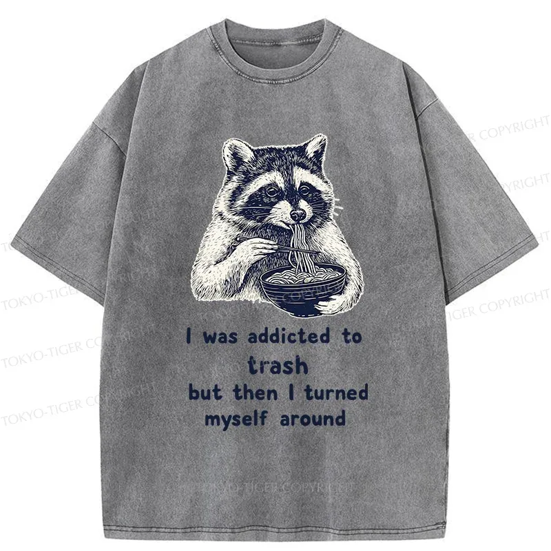 Tokyo-Tiger Raccoon Eating Ramen Japanese Washed T-Shirt