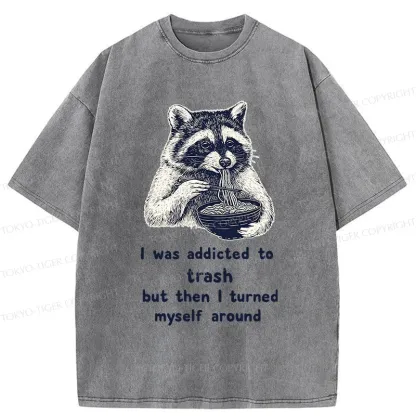 Tokyo-Tiger Raccoon Eating Ramen Japanese Washed T-Shirt