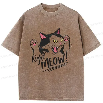 Tokyo-Tiger Right Meow Funny Washed T-Shirt