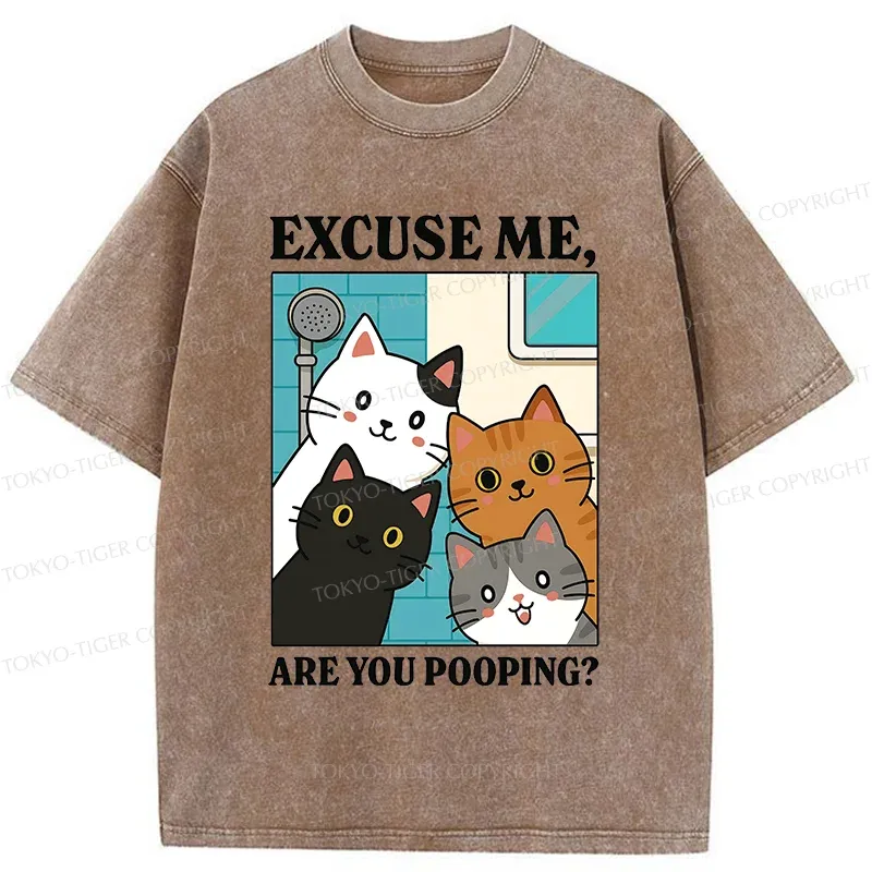 Tokyo-Tiger Cats Is Staring At You Washed T-Shirt