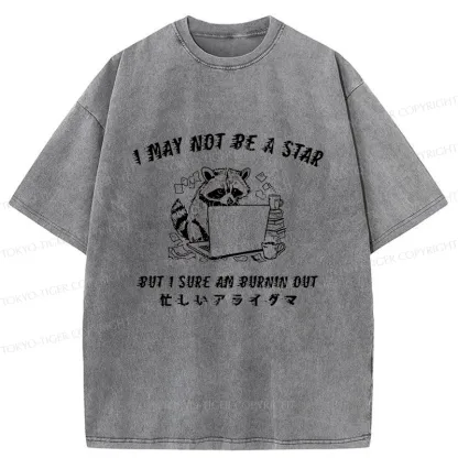 Tokyo-Tiger Busy Raccoon Washed T-Shirt