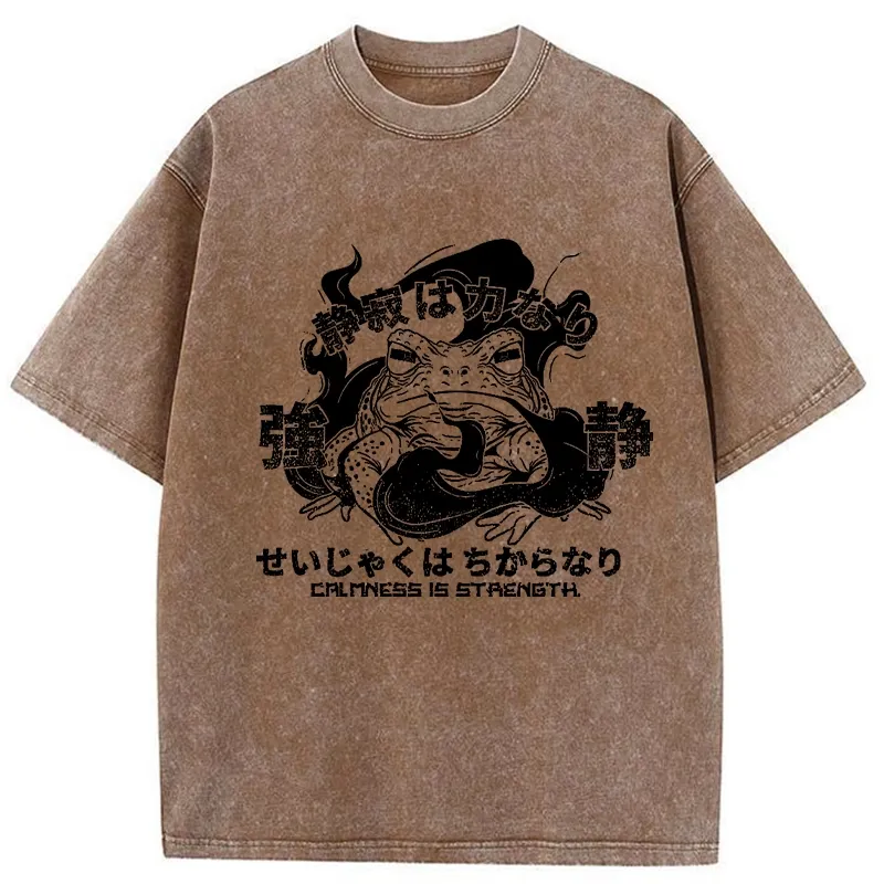 Tokyo-Tiger Calmness Is Strength Washed T-Shirt