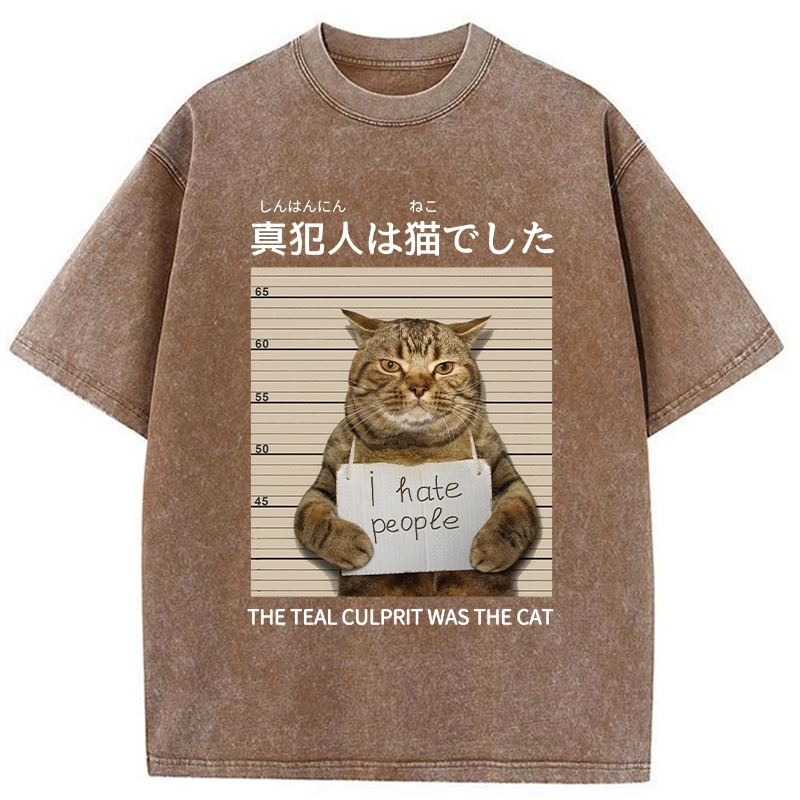 Tokyo-Tiger The Culprit Is The Cat Washed T-Shirt