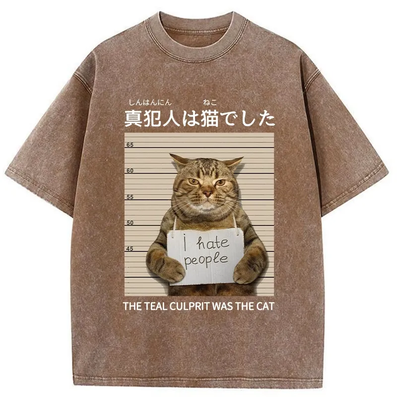 Tokyo-Tiger The Culprit Is The Cat Washed T-Shirt