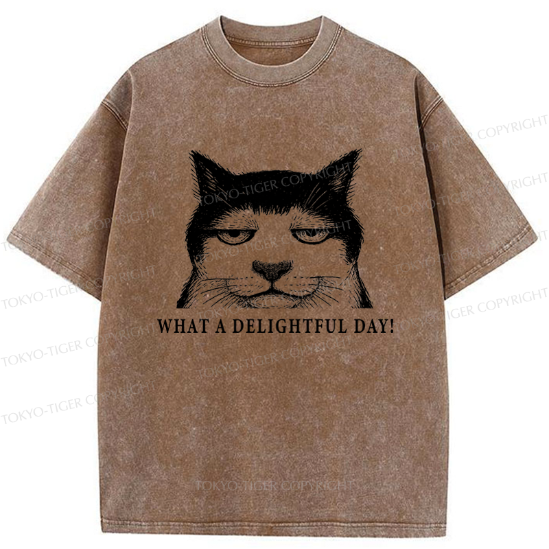 Tokyo-Tiger The World-Weary Cat Washed T-Shirt