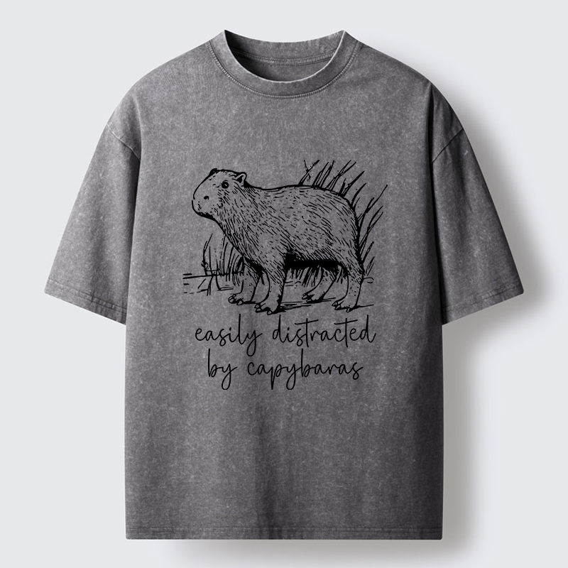 Tokyo-Tiger Capybara Lovers Funny Washed T-Shirt