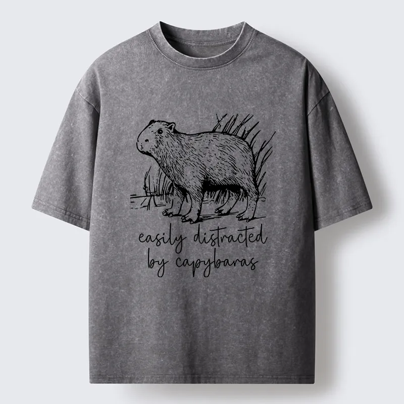 Tokyo-Tiger Capybara Lovers Funny Washed T-Shirt