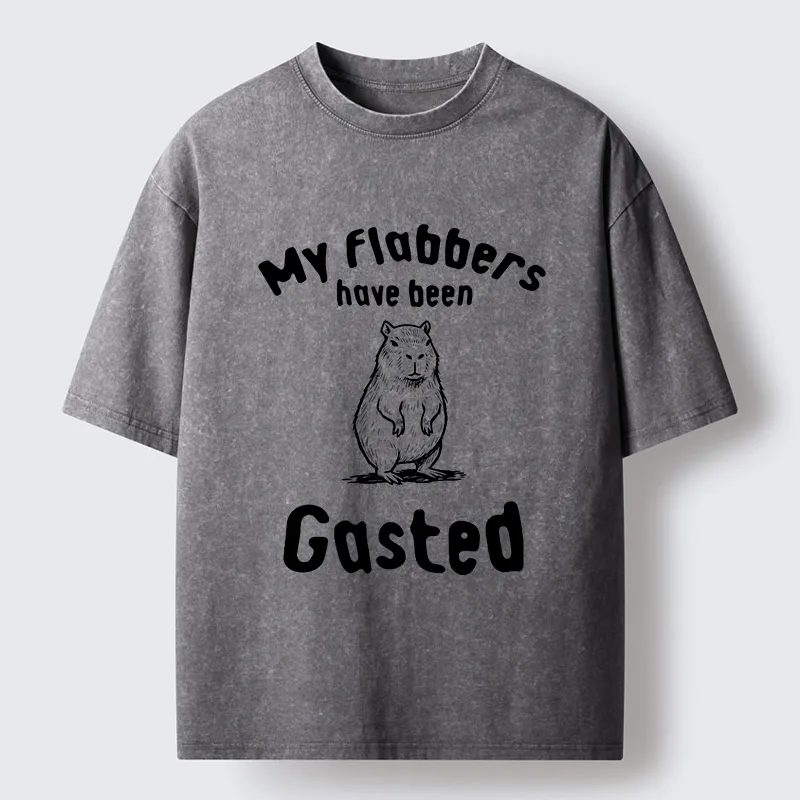 Tokyo-Tiger My Flabbers Have Been Gasted Capybara Washed T-Shirt