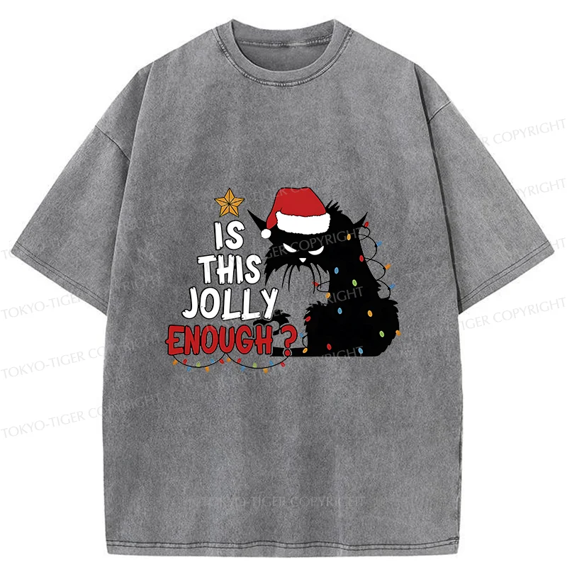 Tokyo-Tiger Grumpy Cat Christmas Washed T-Shirt