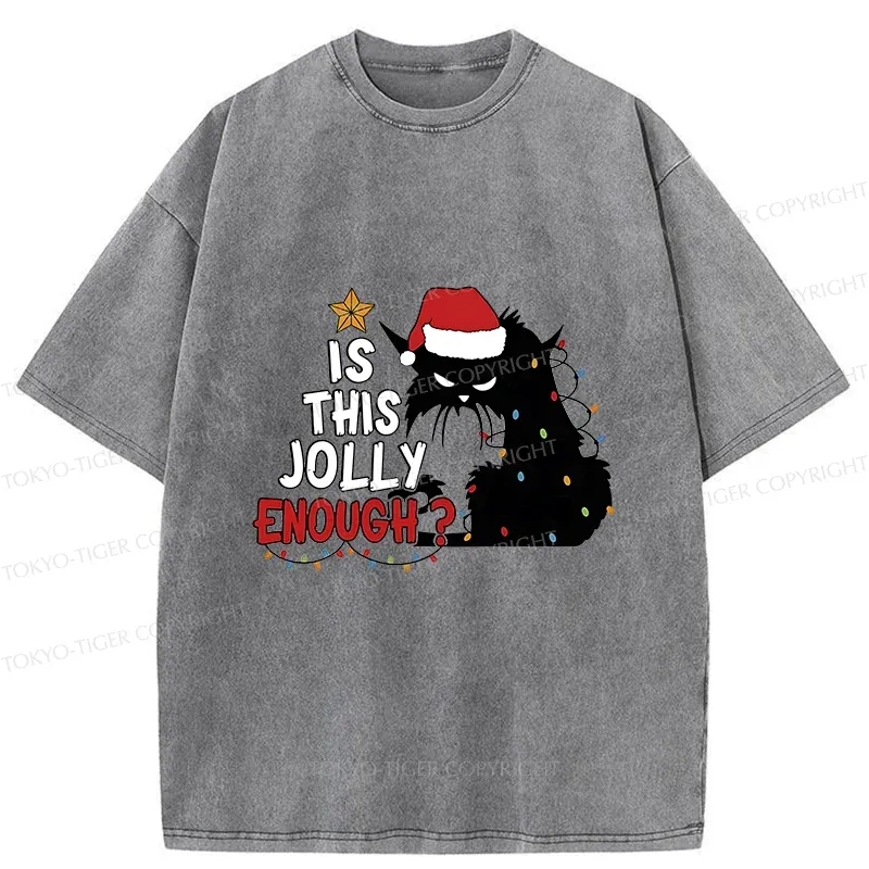 Tokyo-Tiger Grumpy Cat Christmas Washed T-Shirt