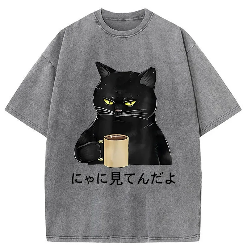 Tokyo-Tiger Grim Cat Is Watching You Washed T-Shirt