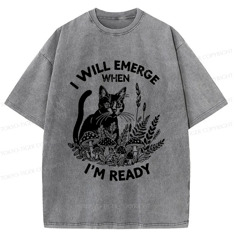 Tokyo-Tiger Cat Ready To Appear Washed T-Shirt