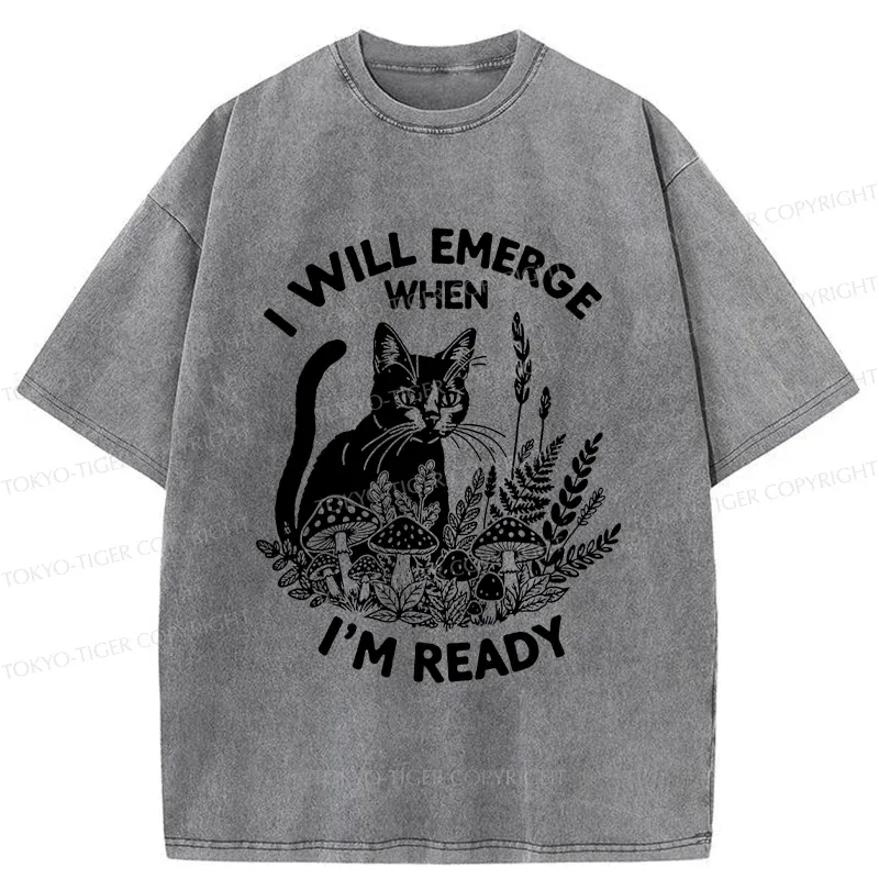 Tokyo-Tiger Cat Ready To Appear Washed T-Shirt