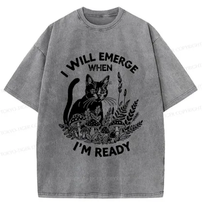 Tokyo-Tiger Cat Ready To Appear Washed T-Shirt