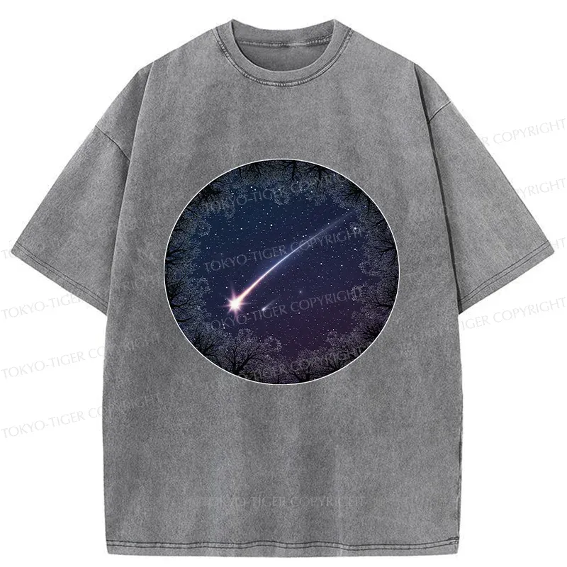 Tokyo-Tiger Beautiful Meteor Washed T-Shirt