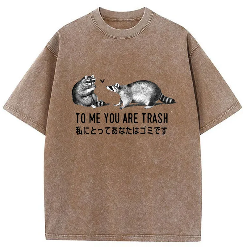 Tokyo-Tiger Raccoon Courting Washed T-Shirt