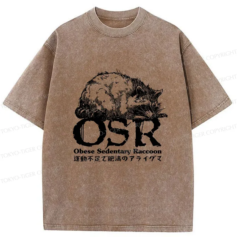 Tokyo-Tiger Fat Raccoon Washed T-Shirt Sale