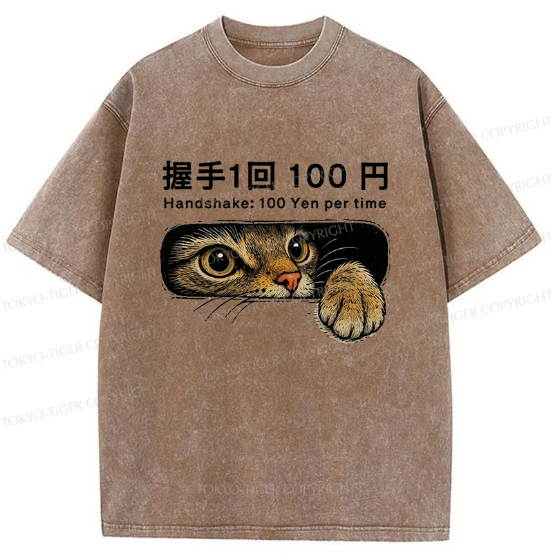 Tokyo-Tiger Shake Hands With Cat For A Fee Washed T-Shirt