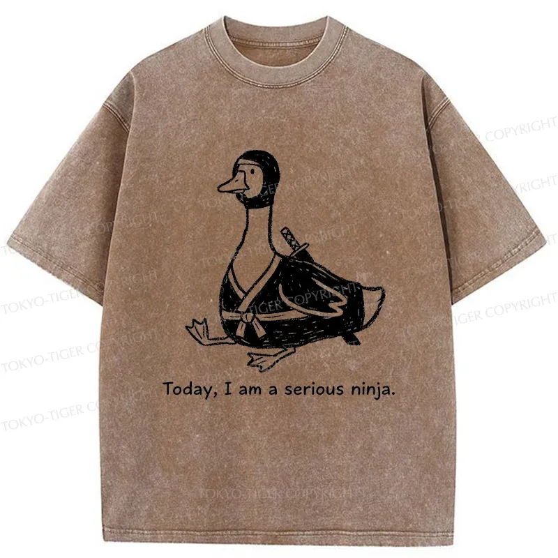 Tokyo-Tiger Ninja Goose Washed T-Shirt Sale