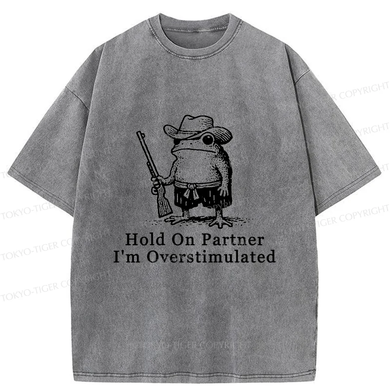 Tokyo-Tiger Handsome Frog Samurai Washed T-Shirt