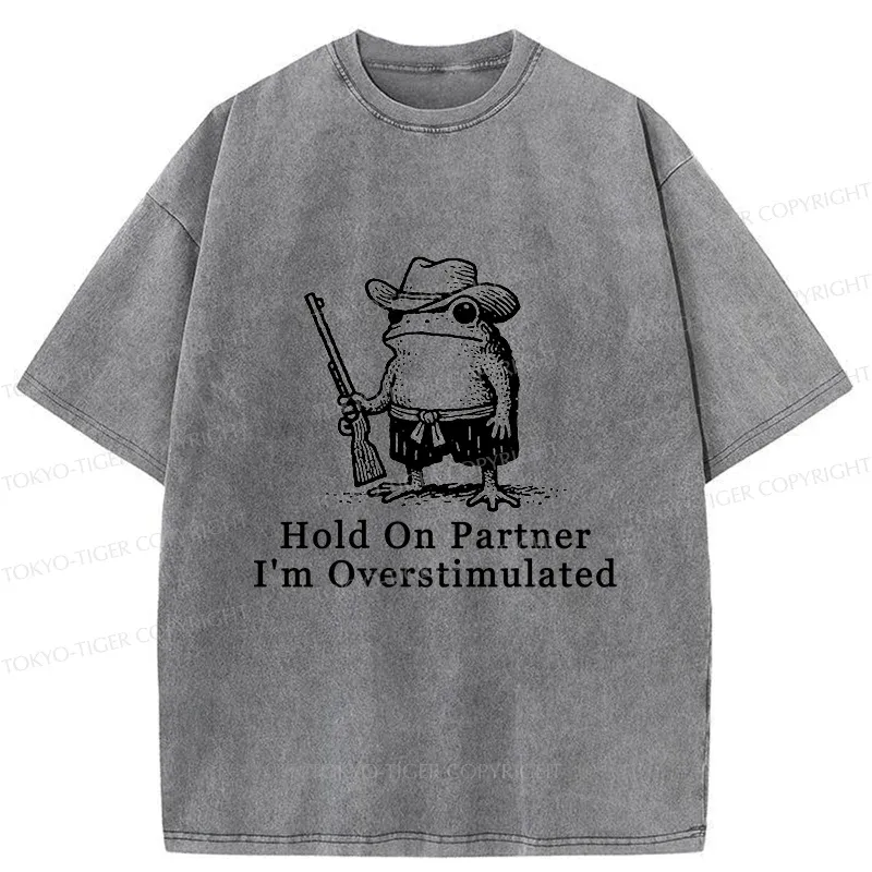 Tokyo-Tiger Handsome Frog Samurai Washed T-Shirt