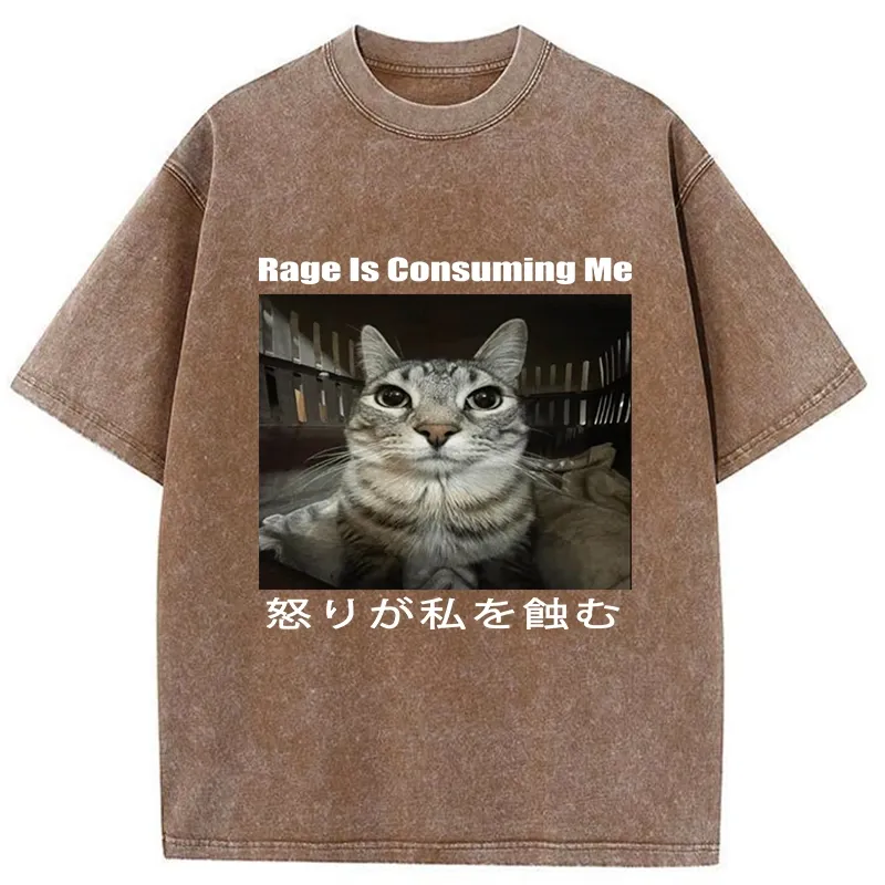 Tokyo-Tiger Rage Is Consuming Me Japan Washed T-Shirt