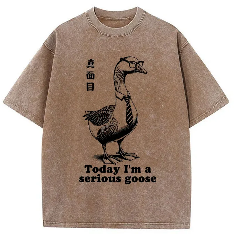 Tokyo-Tiger Serious Goose Washed T-Shirt